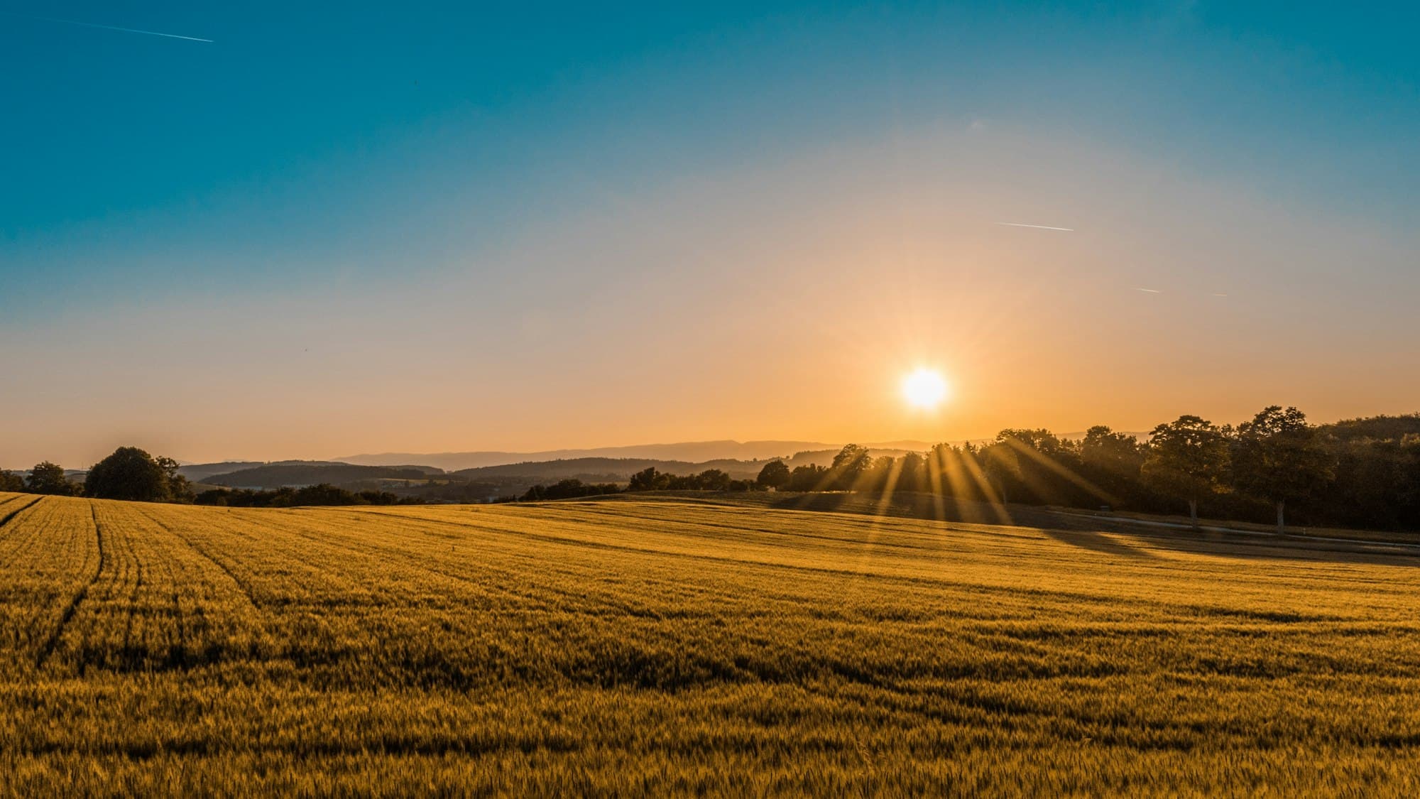 Rolling green countryside under a wide sky